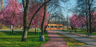 nowadeweloper_mieszkania parkitka (1).jpg